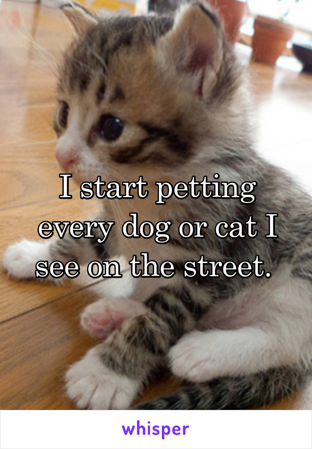 I start petting every dog or cat I see on the street. 