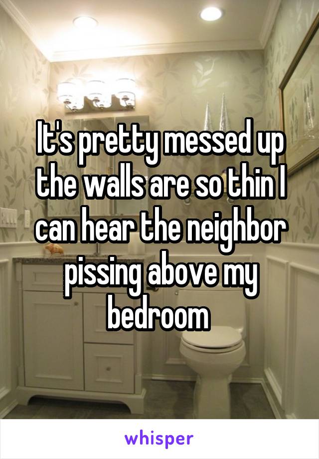 It's pretty messed up the walls are so thin I can hear the neighbor pissing above my bedroom 