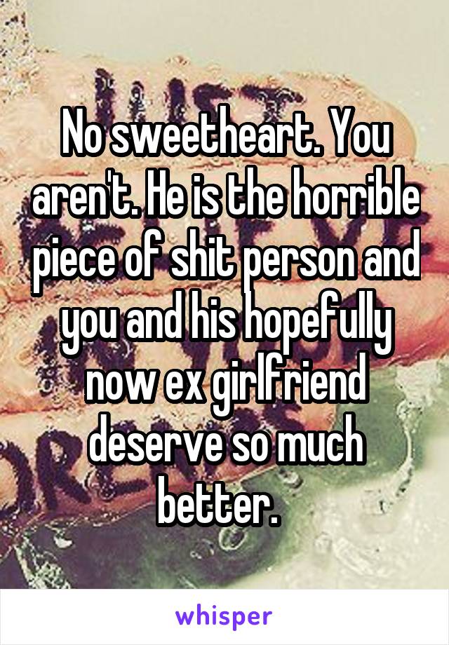 No sweetheart. You aren't. He is the horrible piece of shit person and you and his hopefully now ex girlfriend deserve so much better.  