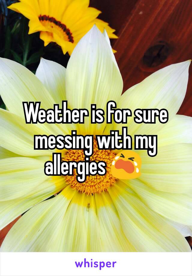 Weather is for sure messing with my allergies 😭 