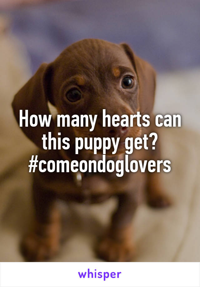 How many hearts can this puppy get? #comeondoglovers