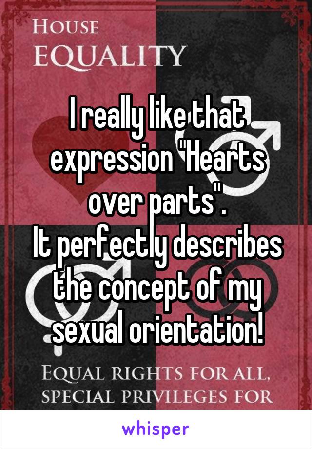 I really like that expression "Hearts over parts".
It perfectly describes the concept of my sexual orientation!