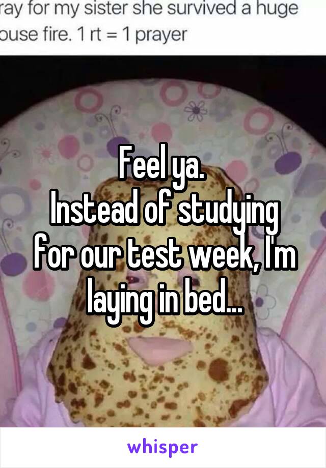 Feel ya. 
Instead of studying for our test week, I'm laying in bed...