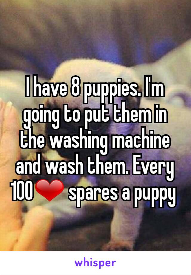 I have 8 puppies. I'm going to put them in the washing machine and wash them. Every 100❤ spares a puppy 