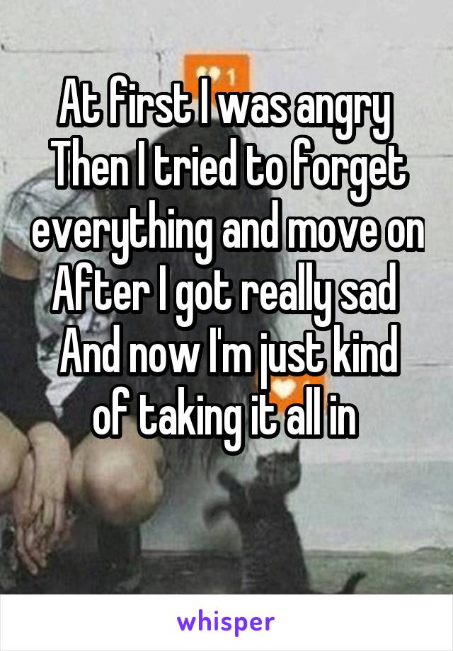 At first I was angry 
Then I tried to forget everything and move on
After I got really sad 
And now I'm just kind of taking it all in 

