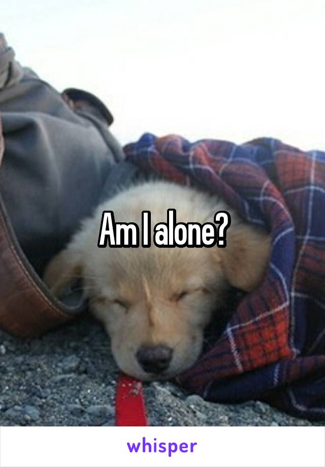 Am I alone?