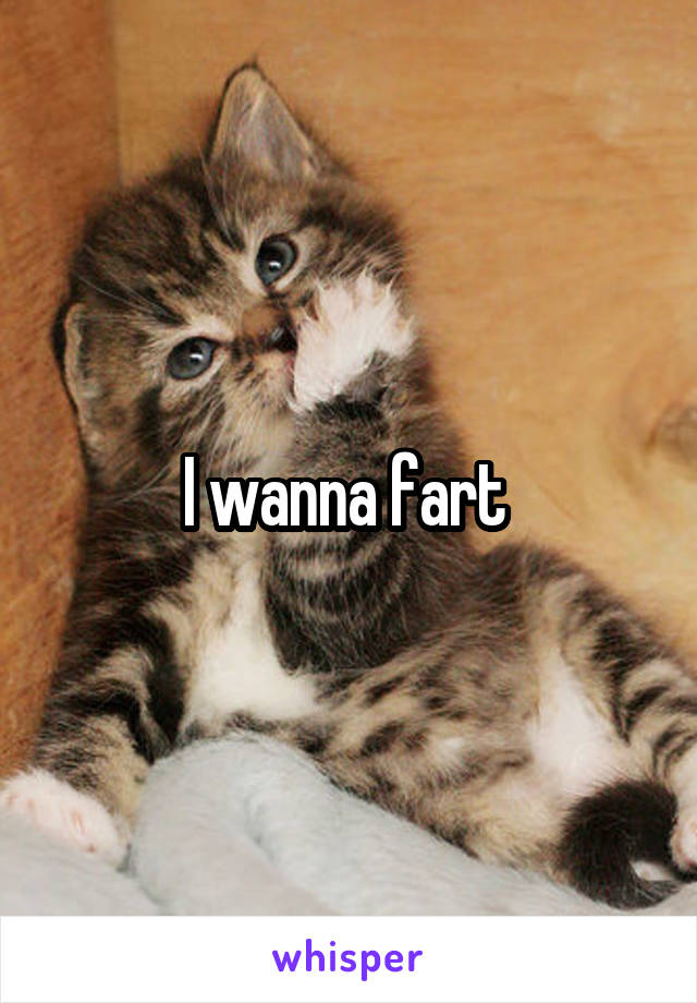 I wanna fart 