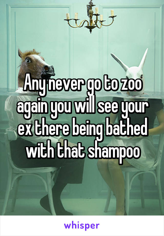 Any never go to zoo again you will see your ex there being bathed with that shampoo