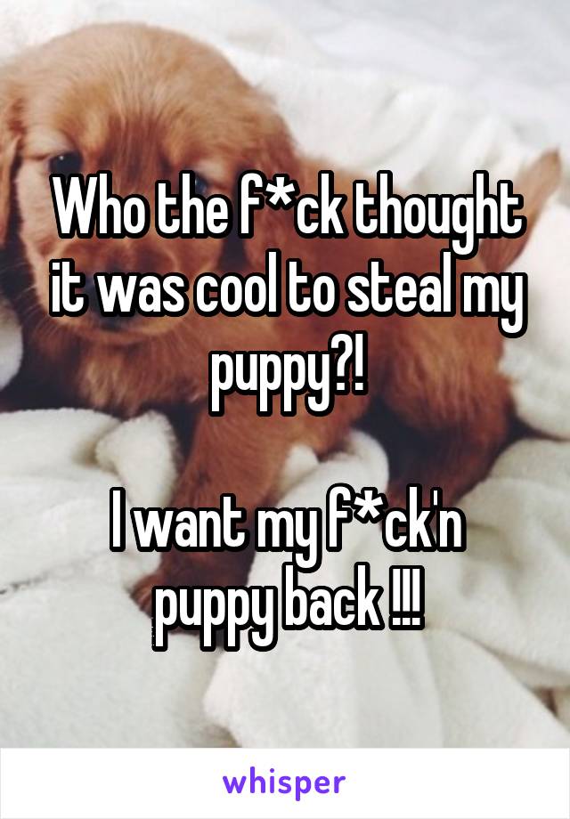 Who the f*ck thought it was cool to steal my puppy?!

I want my f*ck'n puppy back !!!