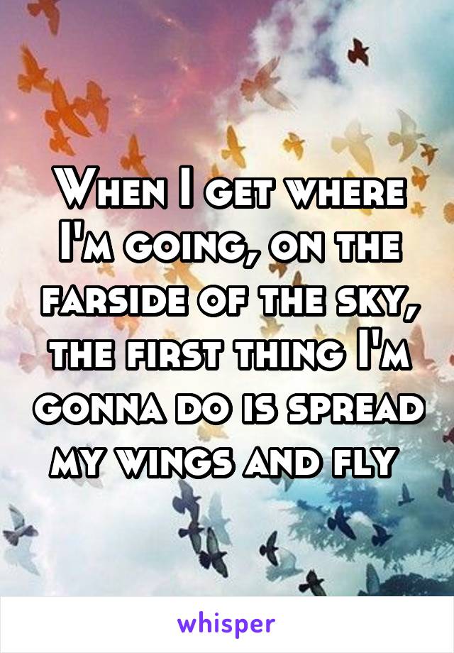 When I get where I'm going, on the farside of the sky, the first thing I'm gonna do is spread my wings and fly 