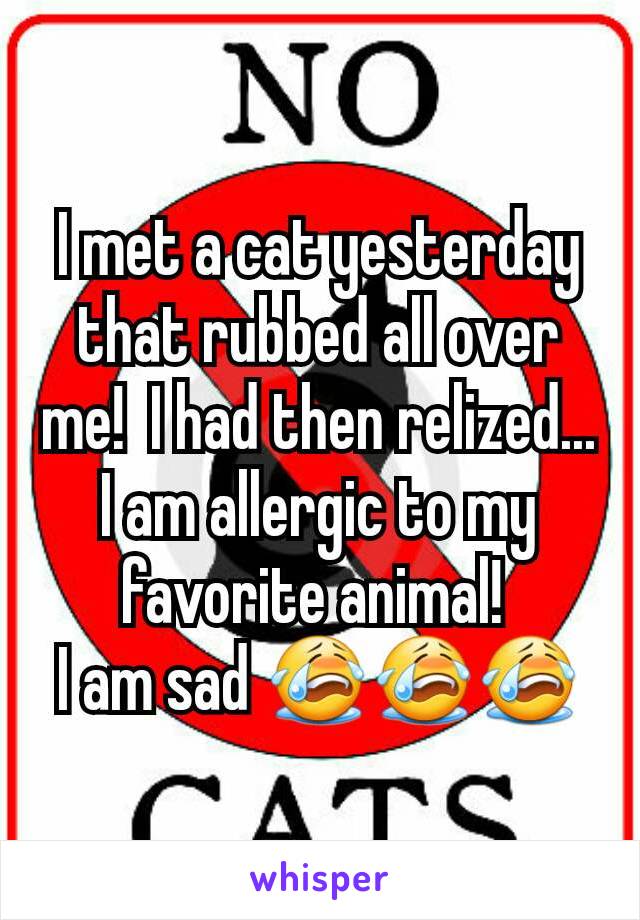 I met a cat yesterday that rubbed all over me!  I had then relized... I am allergic to my favorite animal! 
I am sad 😭😭😭