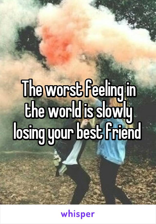 The worst feeling in the world is slowly losing your best friend 