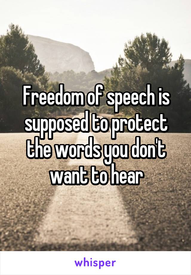 Freedom of speech is supposed to protect the words you don't want to hear