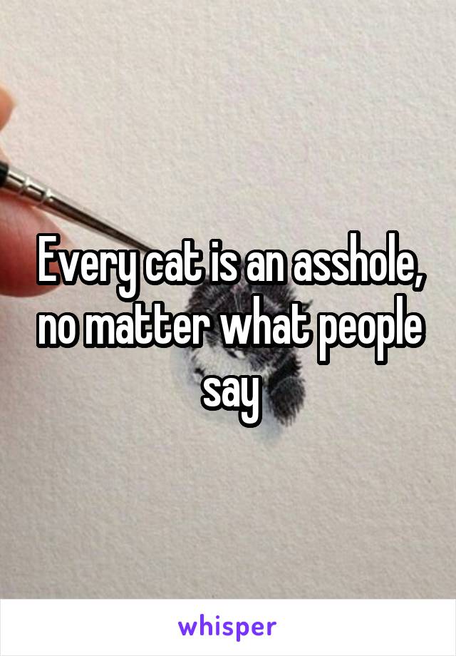 Every cat is an asshole, no matter what people say