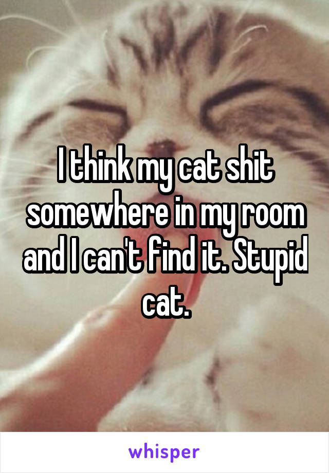 I think my cat shit somewhere in my room and I can't find it. Stupid cat.