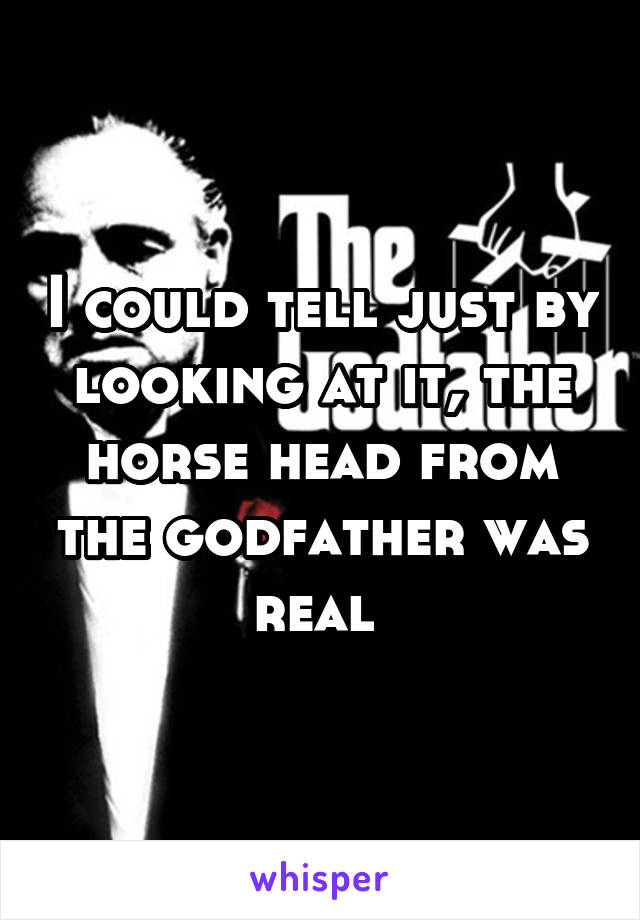 I could tell just by looking at it, the horse head from the godfather was real 