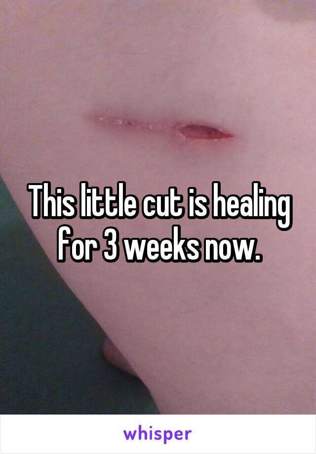 This little cut is healing for 3 weeks now.