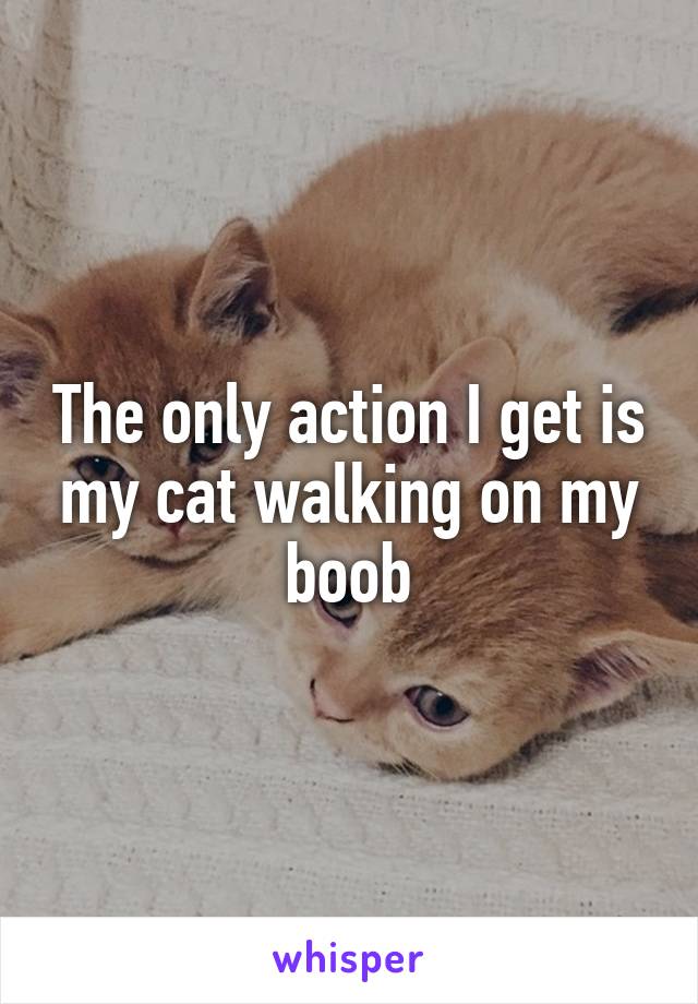 The only action I get is my cat walking on my boob