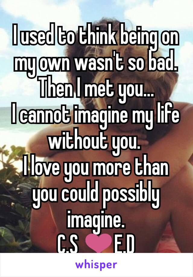 I used to think being on my own wasn't so bad.
Then I met you...
I cannot imagine my life without you. 
I love you more than you could possibly imagine.
C.S ❤E.D