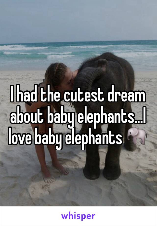 I had the cutest dream about baby elephants...I love baby elephants 🐘