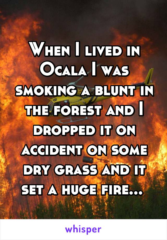 When I lived in Ocala I was smoking a blunt in the forest and I dropped it on accident on some dry grass and it set a huge fire... 