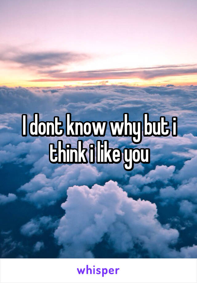 I dont know why but i think i like you