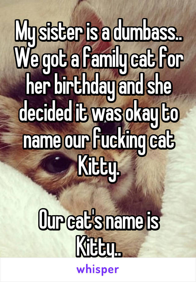 My sister is a dumbass.. We got a family cat for her birthday and she decided it was okay to name our fucking cat Kitty.

Our cat's name is Kitty..