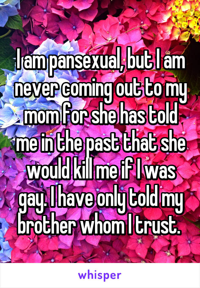 I am pansexual, but I am never coming out to my mom for she has told me in the past that she would kill me if I was gay. I have only told my brother whom I trust. 