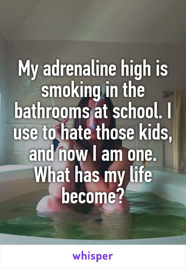 My adrenaline high is smoking in the bathrooms at school. I use to hate those kids, and now I am one. What has my life become?