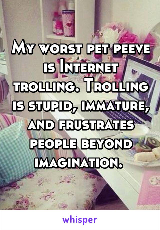 My worst pet peeve is Internet trolling. Trolling is stupid, immature, and frustrates people beyond imagination. 
