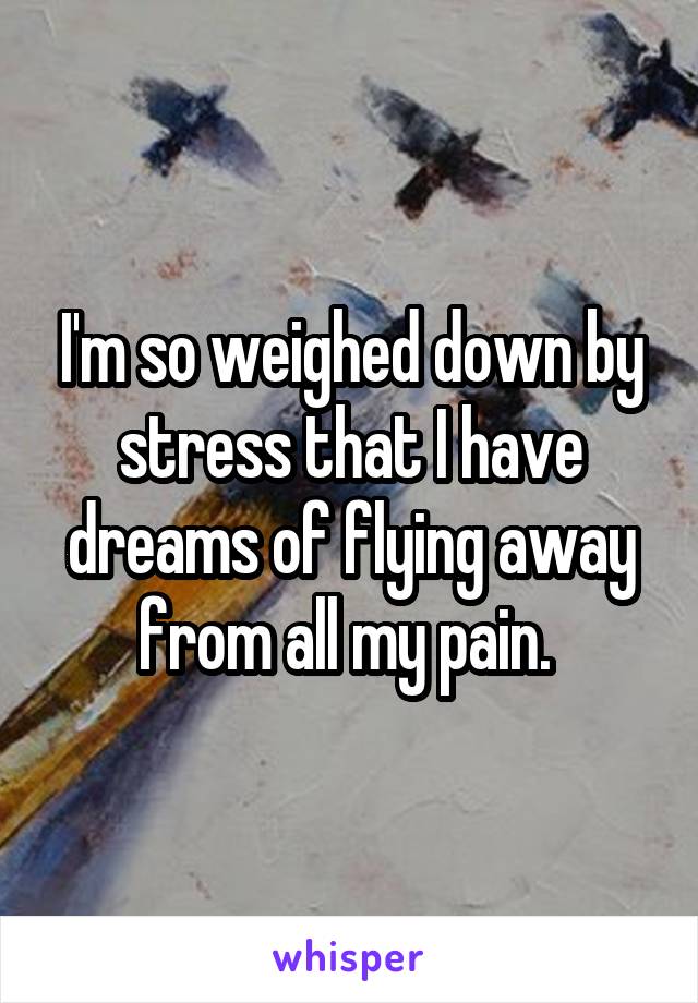 I'm so weighed down by stress that I have dreams of flying away from all my pain. 