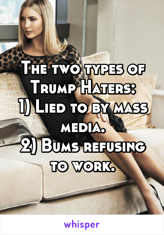 The two types of Trump Haters:
1) Lied to by mass media.
2) Bums refusing to work.