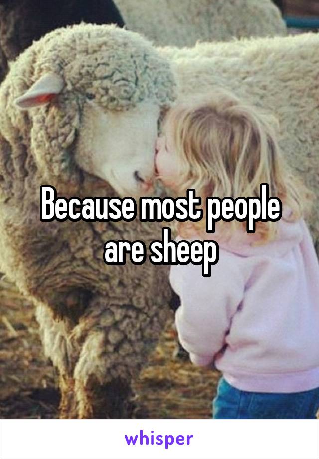 Because most people are sheep