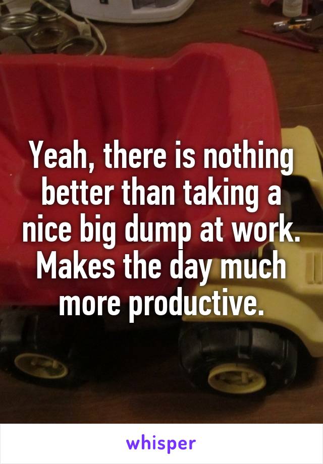 Yeah, there is nothing better than taking a nice big dump at work. Makes the day much more productive.