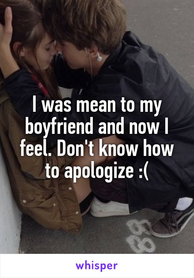 I was mean to my boyfriend and now I feel. Don't know how to apologize :(