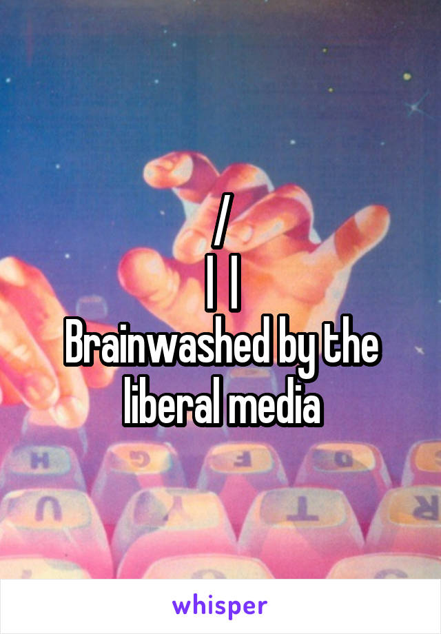 /\
|  |
Brainwashed by the liberal media