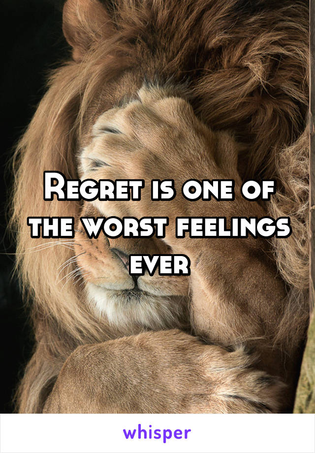 Regret is one of the worst feelings ever