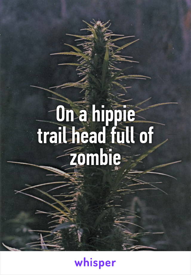 On a hippie
trail head full of zombie