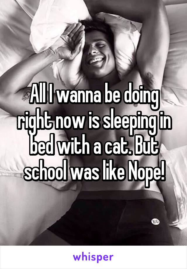 All I wanna be doing right now is sleeping in bed with a cat. But school was like Nope!