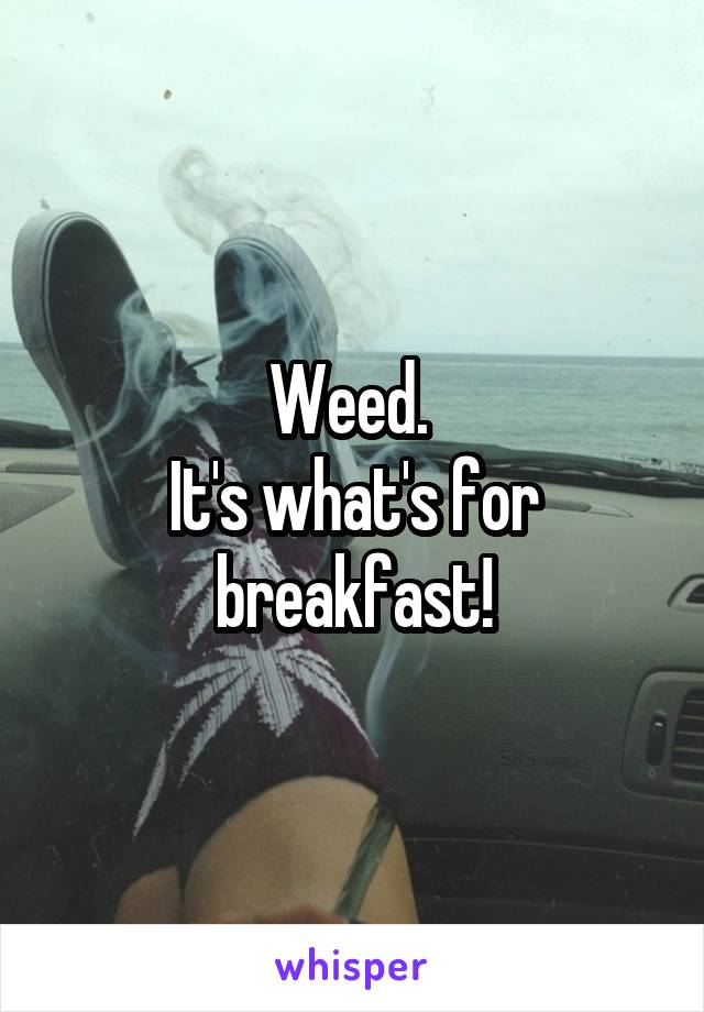 Weed. 
It's what's for breakfast!