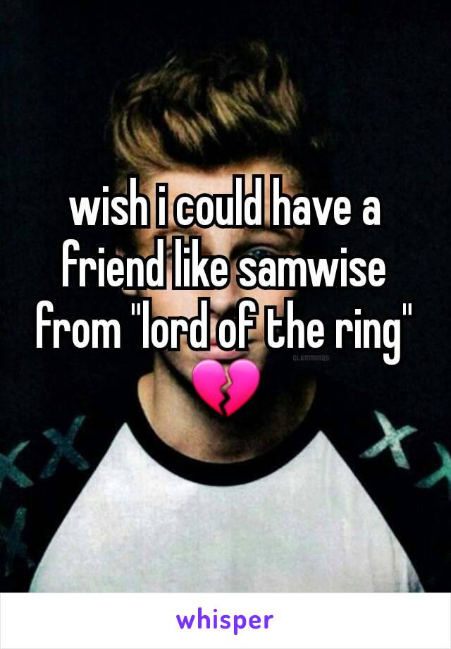 wish i could have a friend like samwise from "lord of the ring" 💔