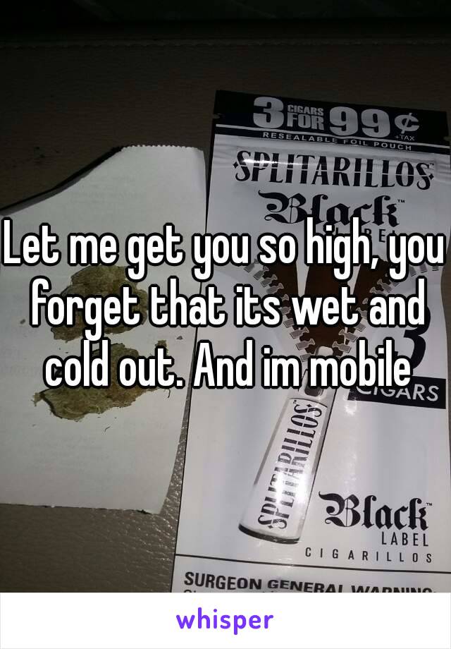 Let me get you so high, you forget that its wet and cold out. And im mobile