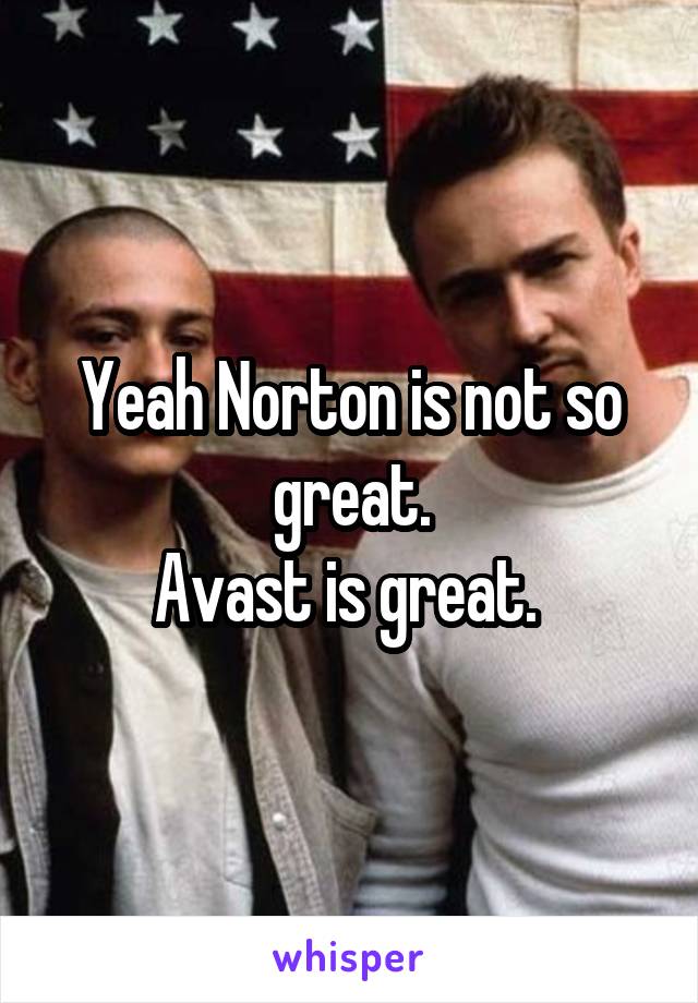 Yeah Norton is not so great.
Avast is great. 