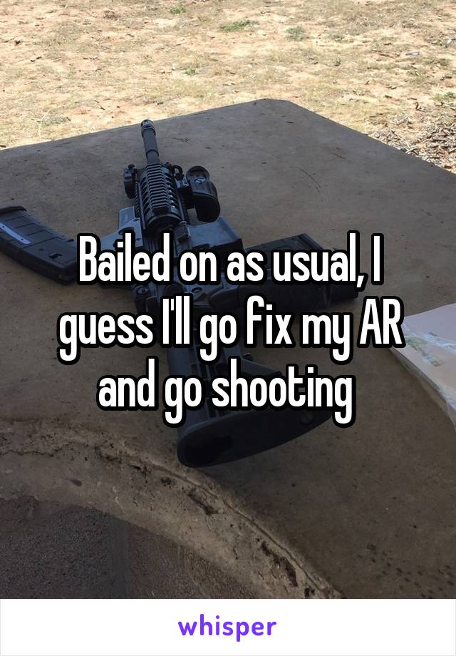 Bailed on as usual, I guess I'll go fix my AR and go shooting 