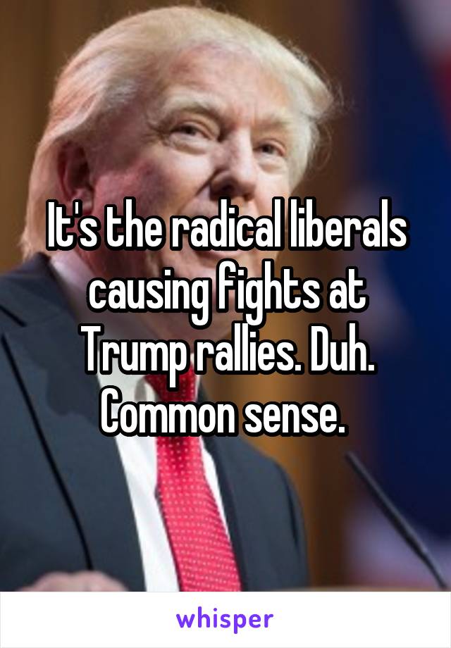 It's the radical liberals causing fights at Trump rallies. Duh. Common sense. 