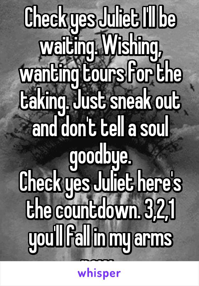 Check yes Juliet I'll be waiting. Wishing, wanting tours for the taking. Just sneak out and don't tell a soul goodbye.
Check yes Juliet here's the countdown. 3,2,1 you'll fall in my arms now. 