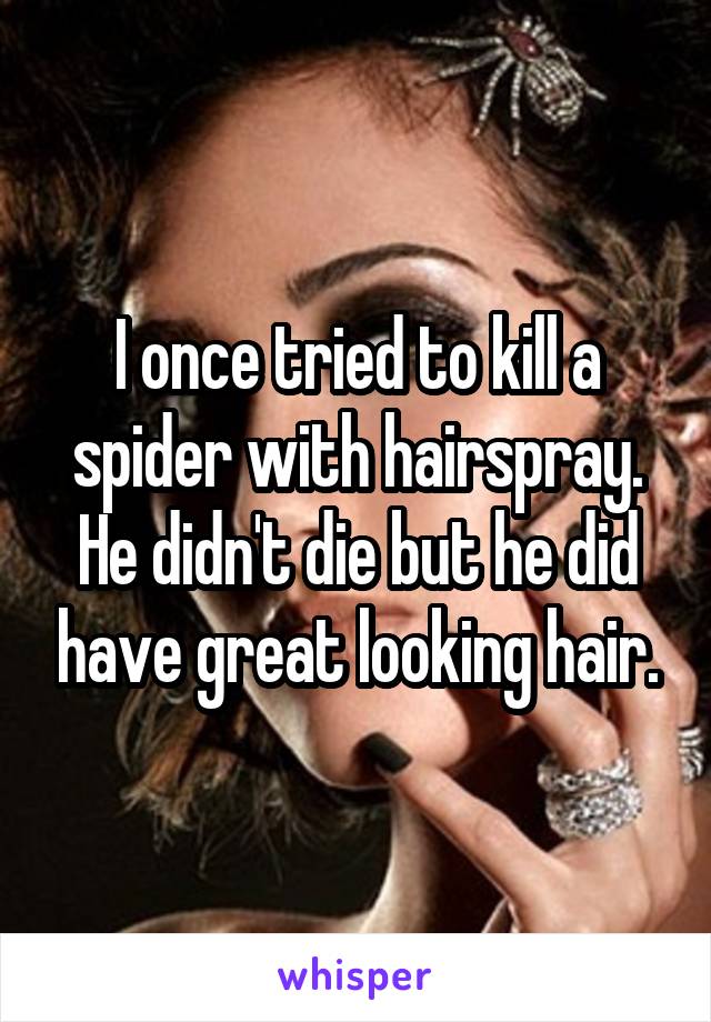 I once tried to kill a spider with hairspray. He didn't die but he did have great looking hair.