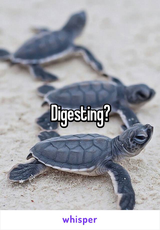 Digesting?