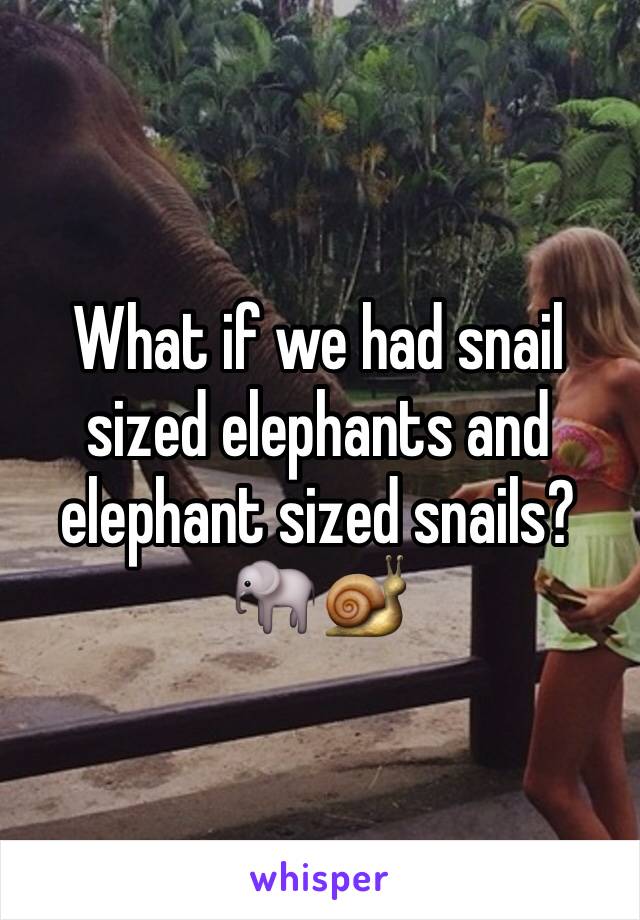 What if we had snail sized elephants and elephant sized snails? 🐘🐌