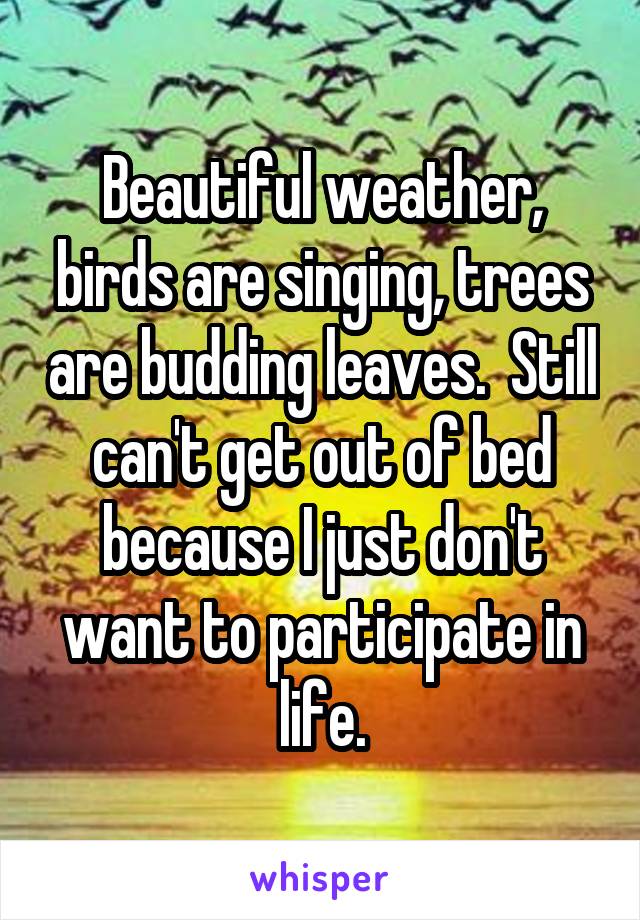 Beautiful weather, birds are singing, trees are budding leaves.  Still can't get out of bed because I just don't want to participate in life.